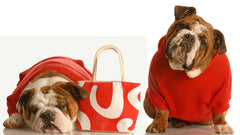 Sample Product One Image